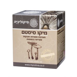 מיקו סיסטם – לחיות מאוזן