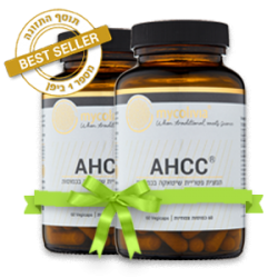 תמצית פטריית שיטאקה – AHCC (מבצע זוגות!)