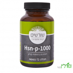 Hsn-p-1000 – שורשים