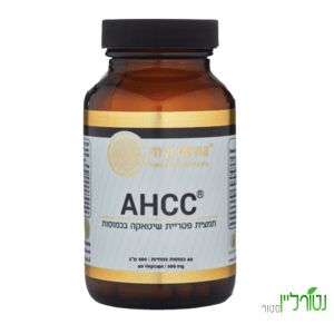 תמצית פטריית שיטאקה AHCC – מיקוליביה פטריות מרפא